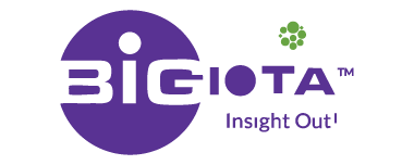 Bigiota logo